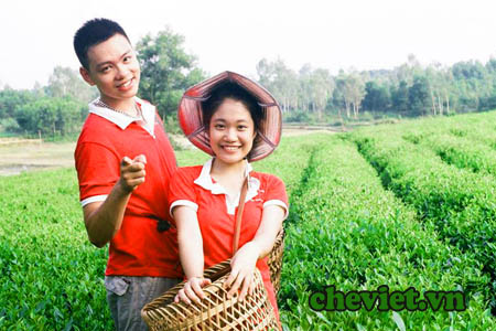 Trà Thái Nguyên – Trà sen Thanh Trang