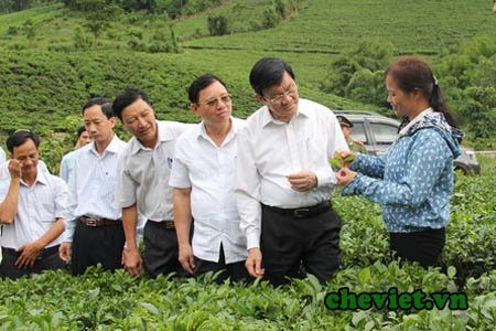Chủ tịch Nước chia sẻ về giá trị của sản phẩm chè Thái Nguyên với sức khỏe và đời sống người dân