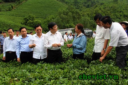 chủ tịch nước thích trà Thái Nguyên