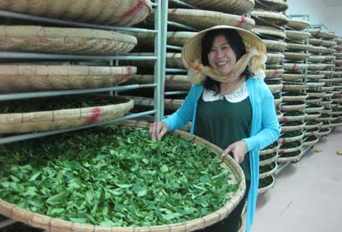 Nữ đại gia trà Ô loong Hà Thúy Linh bị đầu độc, Nữ đại gia trà Ô loong Hà Thúy Linh bị đầu độc?