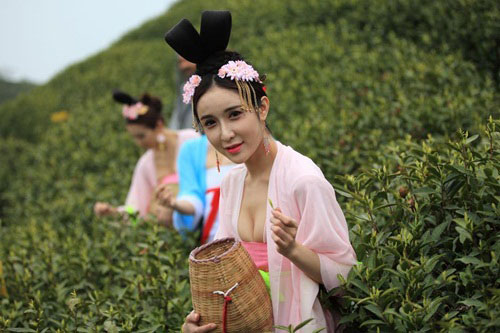 Những mỹ nữ diện xiêm y hái trà trên đồi chè "Đường triều trà thánh lục vũ", thuộc hồ Thiên Mục, Lật Dương, Thường Châu, Giang Tô, Trung Quốc. 