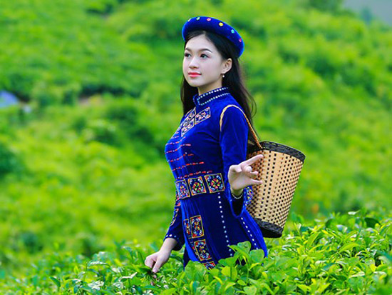 Trà Thái Nguyên nổi tiếng 